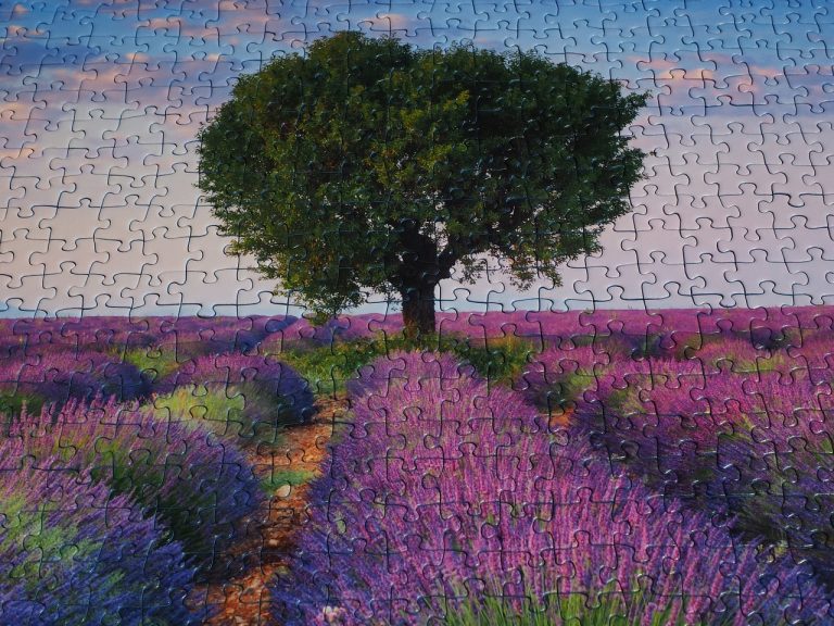 Pazle I Puzzle I Lavanda