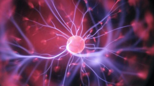 Neuronske veze I Psihologija mišljenja_Unsplash