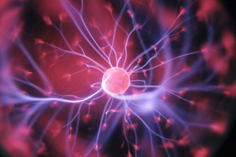 Neuronske veze I Psihologija mišljenja_Unsplash