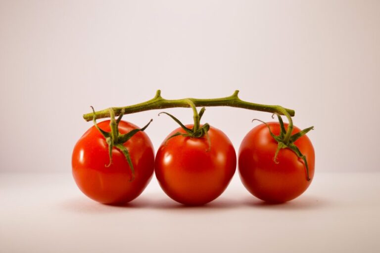Pomodoro I Paradajz_Unsplash