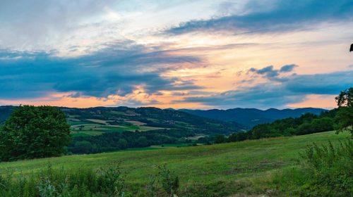 Livade-Srbija-Predeo-Priroda_Pixabay